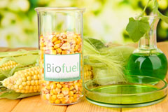 Lee Brockhurst biofuel availability